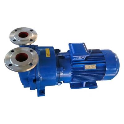 China High Efficiency High End Technology Manufacturing Chemical Vacuum Pump Anti - Corrosion Vacuum Pump for sale