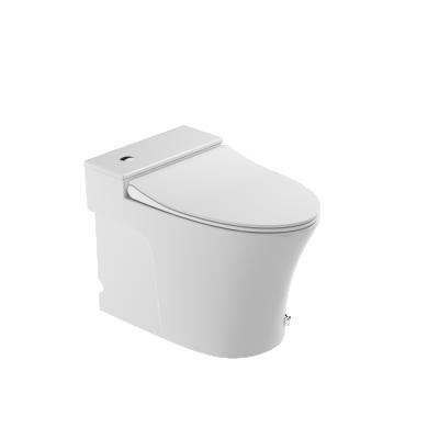 China Dual-Flow 555 Sanitary Ware Back To Ceramic Wall Bathroom Wc No Tank Water Pulse Solenoid Tankless Toilet for sale