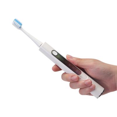 China Electronic Set Battery Powered USB Old Fashioned Personalized Whitening Rechargeable Toothbrush for sale