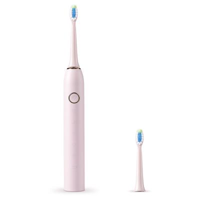 China Sonic Toothbrush Tooth Brush Rechargeable Battery Operated Electric Toothbrush for sale