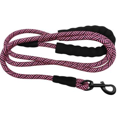 China Nylon Dual Color Strong Funny Customizable Multi Purpose Stocked Climbingg Rope Lead Pet Leashes For Large Dogs for sale