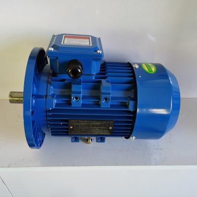 China High Temperature Drip Proof Three Phase Motor 100% Pure Copper Chinese Standard 550W 750W 1.1KW 3 Phase AC Motor for sale