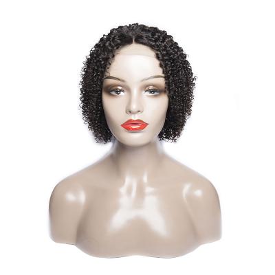 China 100% Virgin Hair FDX Virgin Hair Unprocessed Raw Indian Human Hair Lace Frontal Wig For Color Women Bob Closure Curly Wig for sale