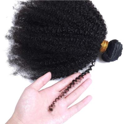 China Wholesale Price 100% Virgin Brazilian Curly Mink Wigs Curl Hair Bundles With Closure Set for sale