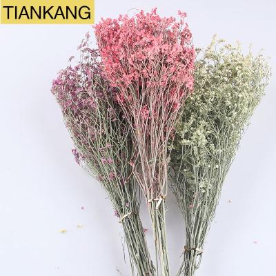 China Natural Decoration Gypsophila Babysbreath Flower Preserved Star Flower Gypsophila Flower for sale