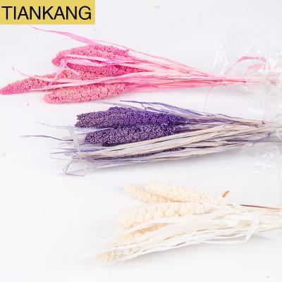 China Decoration dried flower dried millet flower for wedding decoration preserved flower for decoration for sale