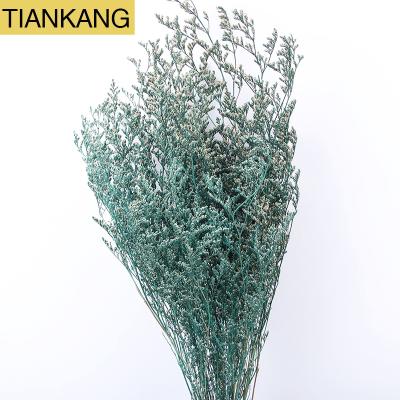 China Limonium dry flower for lover grass flower decoration and decoration flowers natural dry Gypsophila for sale