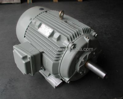 China Totally Enclosed Horizontal Motor Induction 18.5 KW TEFC IP55 for sale