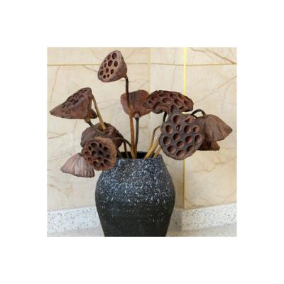 China High Grade Elegant Highest Quality Dried Natural Lotus Party Shooting Props Dried Natural Flowers for sale