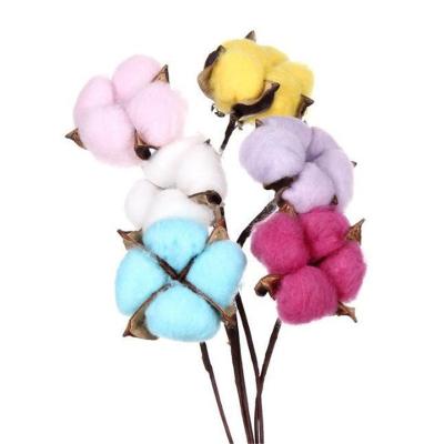 China Different Colors Cotton Graduation Wedding Party Eternal Flowers Cotton Flowers Artificial for sale