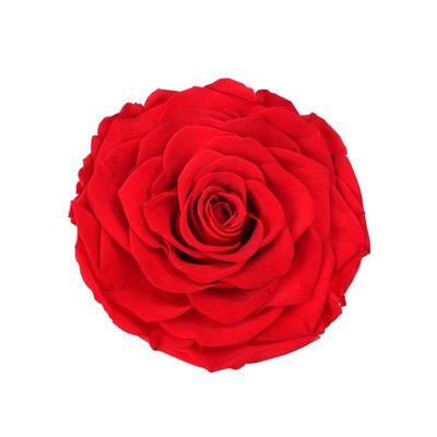 China Wholesale Material Flower Rose Flower DIY Eternal Decoration Heart Shape Flower Eternal For Gift Wedding Flowers Forever 2021 for sale