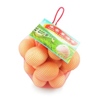 China high quality plastic pe packaging packing net for chinese egg maker for sale