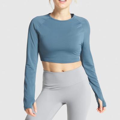 China Breathable High Quality Women's Long Sleeve Crop Top Fitness Training T-Shirts for sale