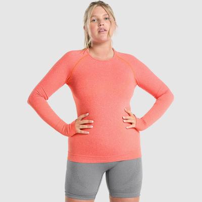 China Fashion 2022 Breathable Plus Size Long Sleeve Seamless High Quality Women's Fitness Gym Quick Dry Yoga T-Shirts Plain for sale