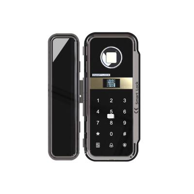 China Modern Zinc Alloy Material Electric Lock Glass Autogate Entry Smart Lock By Fingerprint IC Card Password for sale