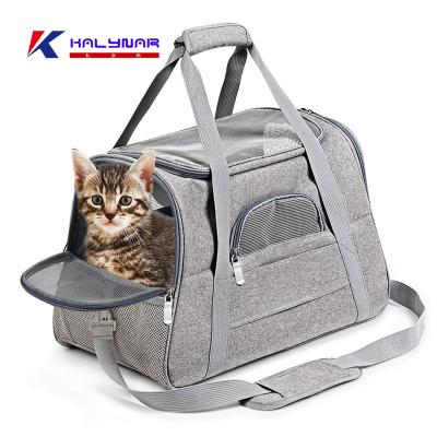 China Breathable Fashionable Foldable Mesh Pet Carrier Bag Cat Carriers Dog Travel Carrier Pet Bag for Small Dog and Cats Tote Bag for sale