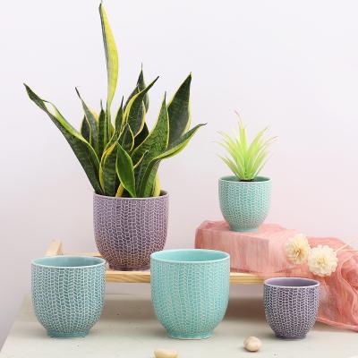 China Minimalist Wholesale Embossed Ceramic Succulent Flower Pots Garden Planter for Indoor Plants and Outdoor Decoration for sale