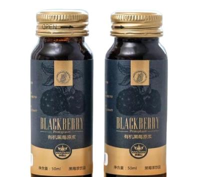 China Original Taste Quality Organic Blackberry Fruit Puree Confectionery Supplies for sale