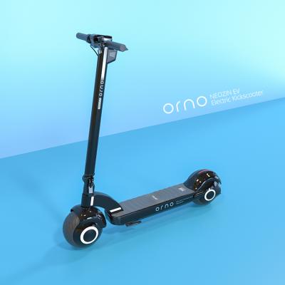 China Adult Unisex Electric Scooter Price Kick 2 Wheels Cheap Scooter For Out Door Sport 48V for sale