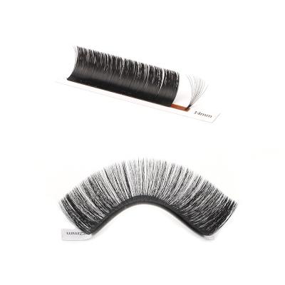 China Dual Density Matte Curl /soft C cc D Fan Individual Eyelash Extentions 0.05 0.07 Lash Fast Fanning Extensions for sale