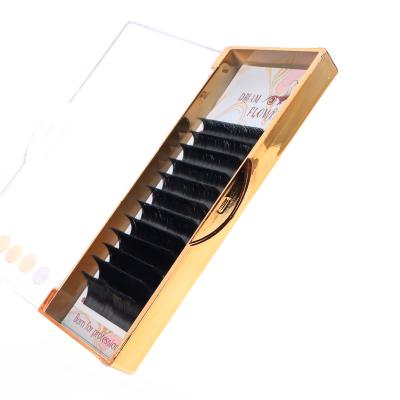 China High quality Korean pbt fiber matte auto volume easy fanning eyelash fan /soft eyelash extensions for sale