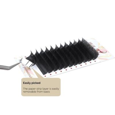 China Eyelash Extension Private Label False Eyelashes Matte Auto Blooming Easy Fanning Easy Packaging /soft for sale