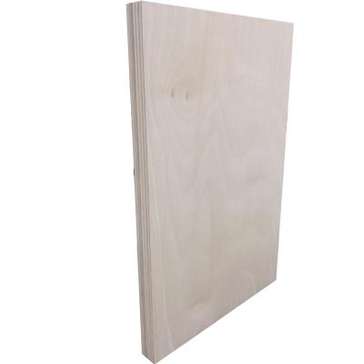 China Cheap good quality 9mm 12mm 15mm 18mm kinds of plywood birch plywood plywood traditional factory china prices for sale