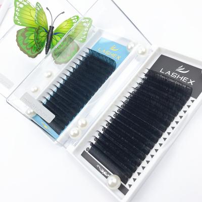 China Mink Lashes Eyelash Extension Products Eyelash Extensions Natural Soft Korean Eyelash Extension Volume Trays for sale