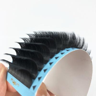 China Natural Soft Handmade Material Silk Matte Black Cashmere Easy Fan Lash Extension Trays Korea Eyelash Extension for sale