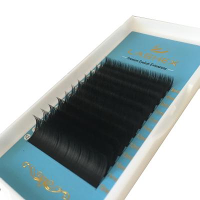 China Professional flat lashex / ellipse / super soft wholesale flat eyelash extensions premium quality whips cashmere flat whips mix length for sale