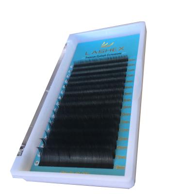 China Wholesale Flat / Ellipse / Eyelash Extensions Cashmere Super Soft Flat Lash Lashes Lightweight Eyelash for sale