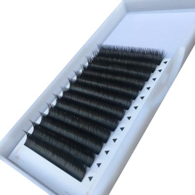 China Flat / Ellipse / Super Soft Eyelashes Samples Flat VV Eyelash Extensions cilios ellipse escova for sale