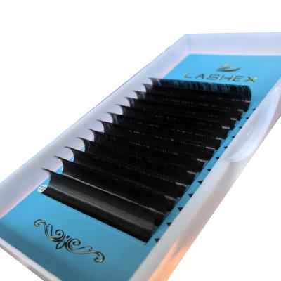 China Volume Fans Private Label Mink Lashes Self Faning Eyelash Extension Lashes Blossom Extension Easily for sale