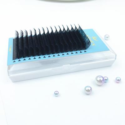 China Handmake False Eyelash Russian Hair J/B/C/CC/D/DD/M Curl Eyelashes 100% Silk Lashes Pre Fanned Matte Flat Ellipse Lashes Extensions for sale