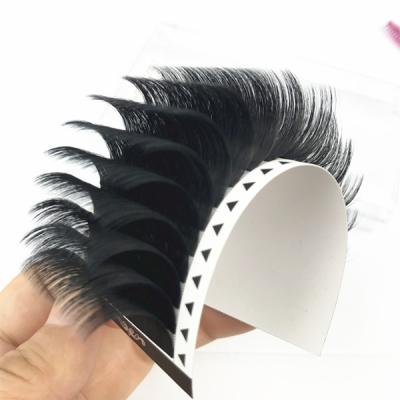 China Volume Fans Easy Blooming Professional Set Pre Fanned 2d 3d 4d 5d 6d 8d And 10d Korean Eyelash Extensions Supplies for sale