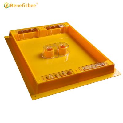 China Benefitbee Australian Plastic Bee Hive Farm Latest Style 4.5L Top Feeder for sale