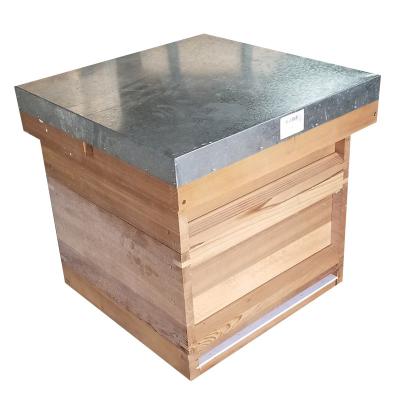 China Benefitbee Style UK Red Cedar American Bee Hive Beekeeping Beehive UK Wooden National Hive 10 Frame Hives for sale