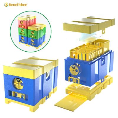 China Newest 4 Frames Benefitbee HDPE Bee Hive Box Mating Mini Bee Hives Plastic Queen Bee Mating Box for sale