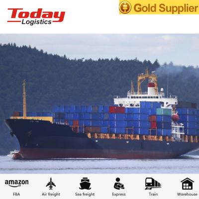 China Warehouse Low Price Independent Sea Freight Forwarder Shipping To Germany Logistics Company for sale