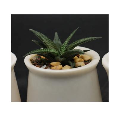 China Small Modern White Marble Succulent Planter for sale