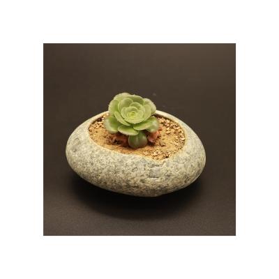 China Handwork Modern Universal Natural Succulent Flowerpot Pebble Garden Miniature Ashtrays for sale