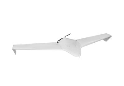 China Delta Wing Drone híbrido de ala fija de peso ligero catapulta paracaídas de alta resistencia Drone Uav de ala fija en venta