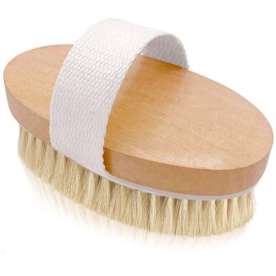 China All Natural Natural Soft Bristle Brush Exfoliator Wet And Dry Body Brush for sale