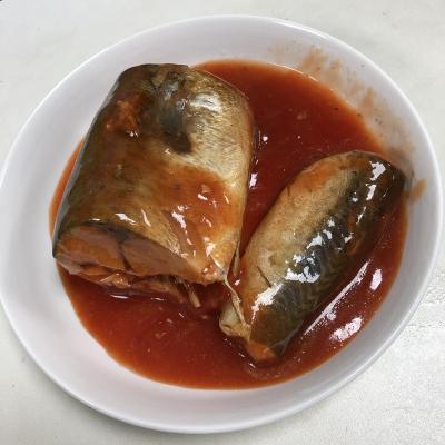 China Best canned canned mackerel in tomato sauce in 2 pcs for sale