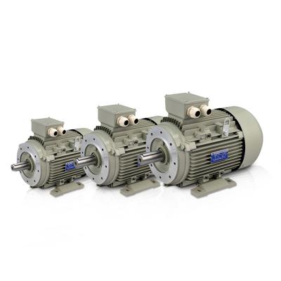 China Cool China IE2 Industrial AC Electric Motor Three Phase Asynchronous Price for Totally Enclosed Series 400v 0.75kw for sale