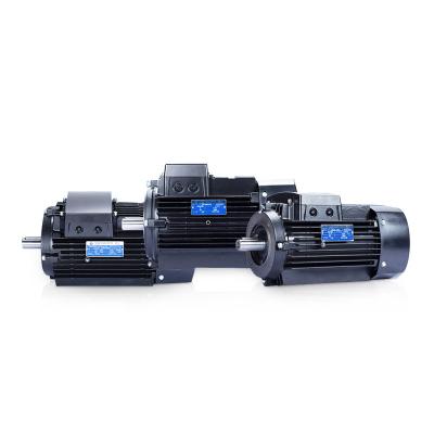 China Totally Enclosed 2022 Wholesale High Quality Small 0.75kw 50hz 1hp Water Pump Three Phase Asynchronous Electric Motor for sale