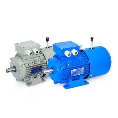 China Competitive Price Totally Enclosed Three Phase Electromagnetic Brake AC Electric Motor 0.75kw 3000rmp for sale