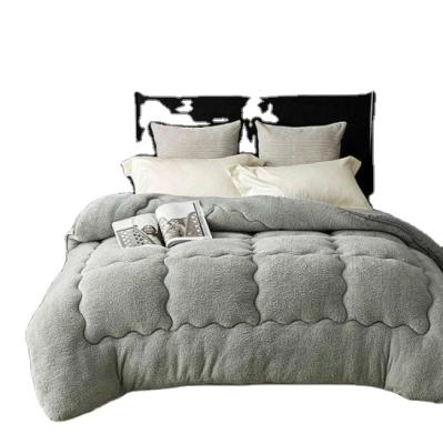 China Autumn Velvet Polyester Quilt Soft Comfortable Cheap Comforter Morden Luxury Hot Sale Winter/Summer/Spring Duvet for sale