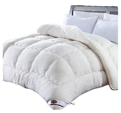 China Home Comforter Velvet Polyester Comforter Winter Silk Comforter For Bed Home Sleep for sale