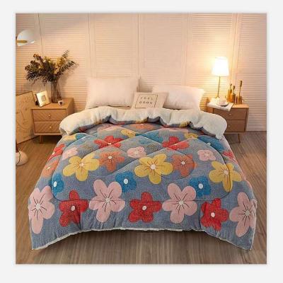 China Winter Sale High Quality Comforter Flannel Comforter Soft Warm Home Velvet Comforter for sale